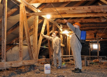 Согласно статистическим данным, пожары и взрывы относятся к самым распространенным ЧС техногенного характера. В росси...