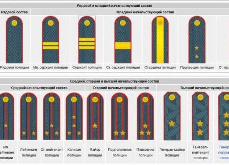 Милицейские погоны и звания в картинках россия